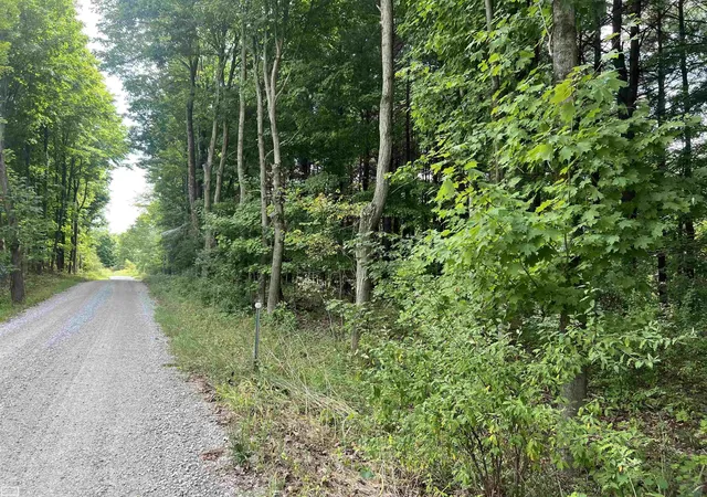 Land for sale at 0 Burton Rd, Mussey, MI 48014 | MLS# 50201728