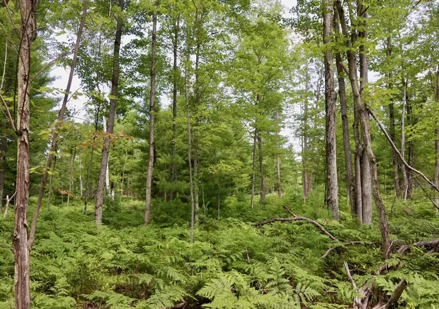 Photo 3 of Land for sale at 03 Dl To Earth Way, Prescott, MI 48756 | MLS# 70548675 | Listing updated on 2026-09-05