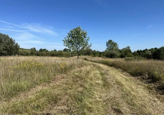 Photo 1 of Land for sale at V/l Rolling Hills Dr, Fennville, MI 49408 | MLS# 70557461 | Listing updated on 2026-09-09