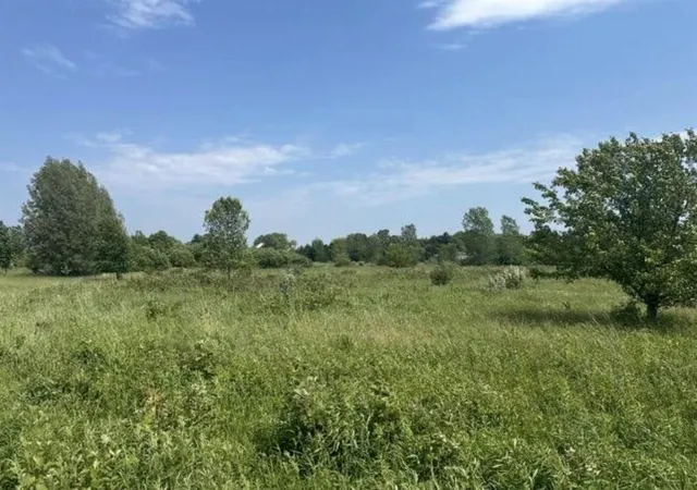Photo 3 of Land for sale at V/l Rolling Hills Dr, Fennville, MI 49408 | MLS# 70557461 | Listing updated on 2026-09-09