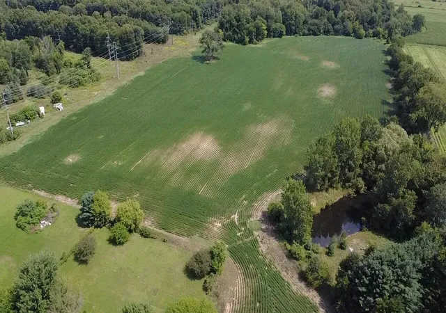 Photo 1 of Sale Pending at 88375 Cr 668, Decatur, MI 49045 | MLS# 70553667 | Listing updated on 2026-10-01
