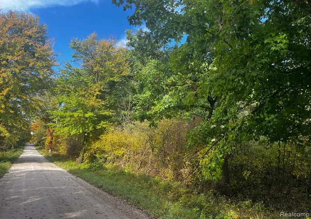 Land for sale at 01 Nettney Rd, Capac, MI 48014 | MLS# 61035646