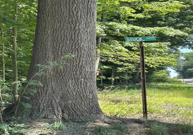 Photo 1 of Land for sale at Stuck Rd, Marcellus, MI 49067 | MLS# 70551613 | Listing updated on 2026-10-16