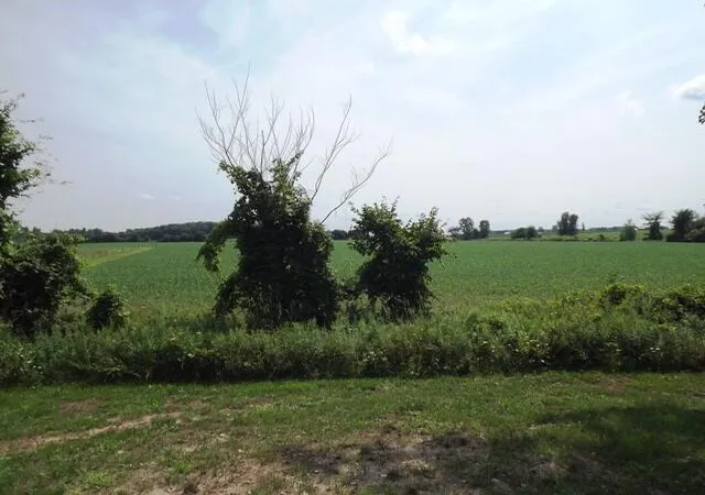 Photo 4 of Land for sale at 1500 Hull St, Sparta, MI 49345 | MLS# 70556408 | Listing updated on 2026-09-11