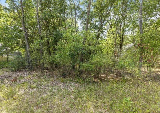 Photo 2 of Sale Pending at V/l Seneca Dr, Howard City, MI 49329 | MLS# 70559290 | Listing updated on 2026-10-02