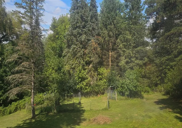 Photo 3 of Sale Pending at 6404 Shearer Rd, Greenville, MI 48838 | MLS# 70554945 | Listing updated on 2026-10-09