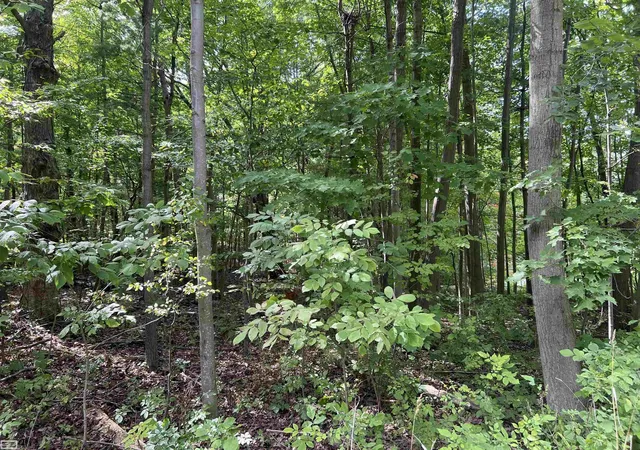 Land for sale at 0 Burton Rd, Mussey, MI 48014 | MLS# 50223489