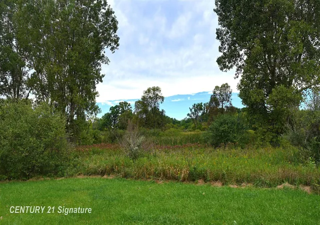 Photo 3 of Sale Pending at 0 Tyrrell Rd, Morrice, MI 48857 | MLS# 50221544 | Listing updated on 2026-09-24