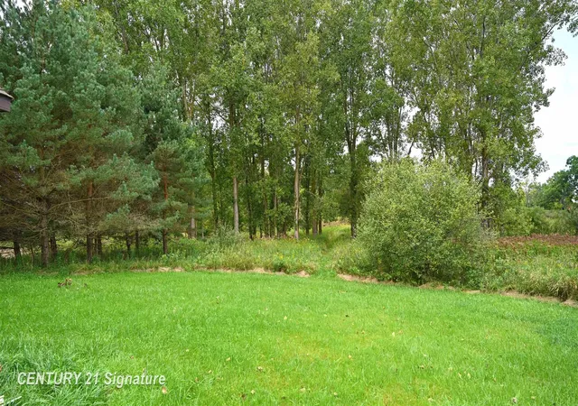 Photo 4 of Sale Pending at 0 Tyrrell Rd, Morrice, MI 48857 | MLS# 50221544 | Listing updated on 2026-09-24