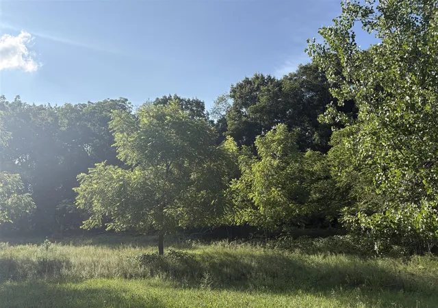 Photo 2 of Land for sale at 0 Snowy Pine Dr, Charlotte, MI 48813 | MLS# 70554060 | Listing updated on 2026-09-02