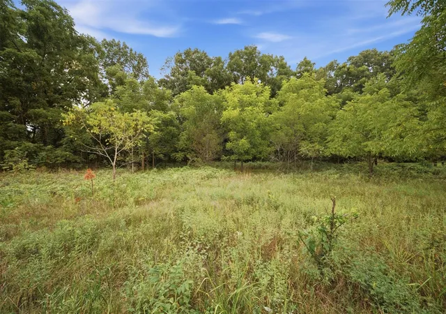 Photo 3 of Land for sale at 0 Snowy Pine Dr, Charlotte, MI 48813 | MLS# 70554060 | Listing updated on 2026-09-02