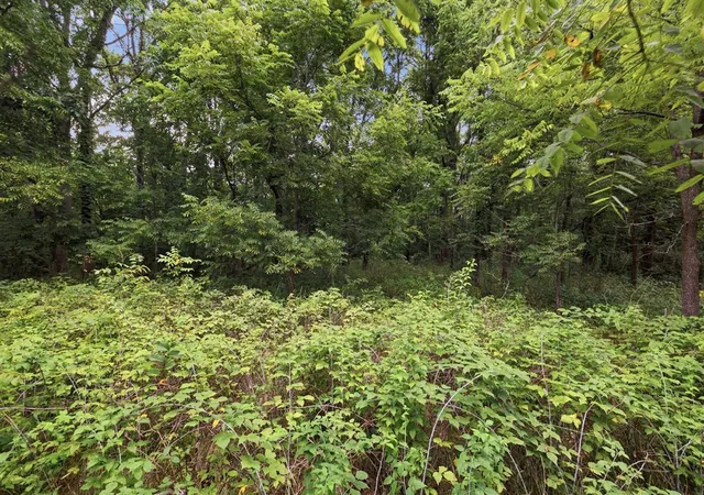 Photo 4 of Land for sale at 0 Snowy Pine Dr, Charlotte, MI 48813 | MLS# 70554060 | Listing updated on 2026-09-02