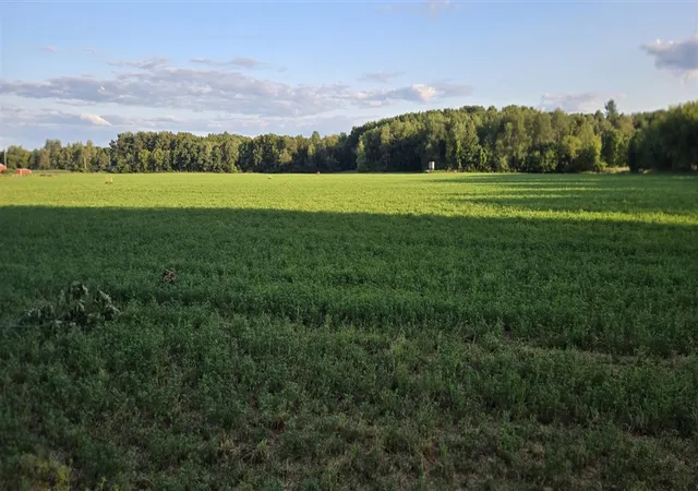 Photo 1 of Sale Pending at 11852 Rooksby St, Sand Lake, MI 49343 | MLS# 70547022 | Listing updated on 2026-09-14