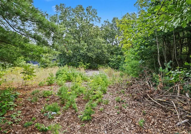 Photo 3 of Land for sale at 76360 County Rd 378, Covert, MI 49043 | MLS# 70555199 | Listing updated on 2026-09-09