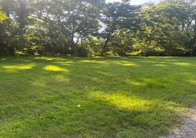 Photo 4 of Land for sale at 425 S Barker St, New Buffalo, MI 49117 | MLS# 70532786 | Listing updated on 2026-09-03