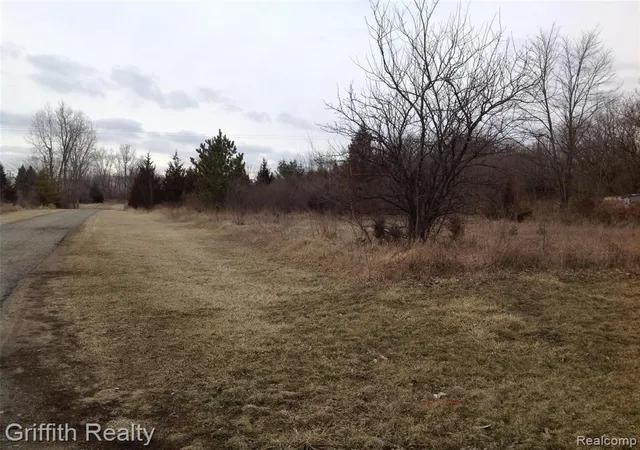 Photo 2 of Land for sale at Vl Mason Rd, Howell, MI 48843 | MLS# 40177284 | Listing updated on 2026-09-11