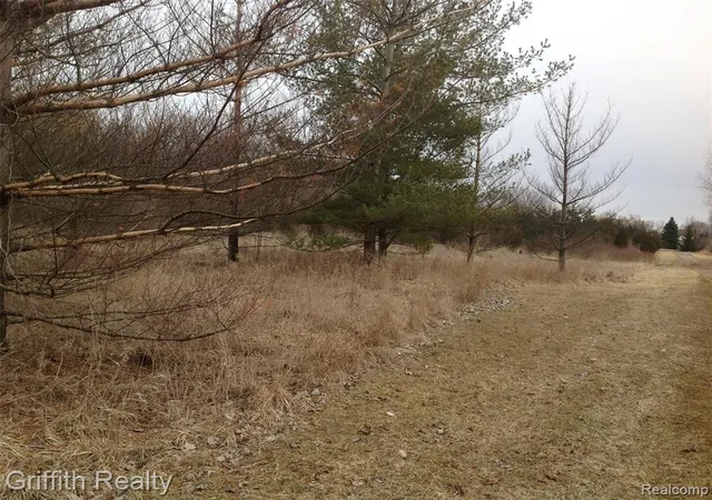 Photo 3 of Land for sale at Vl Mason Rd, Howell, MI 48843 | MLS# 40177284 | Listing updated on 2026-09-11