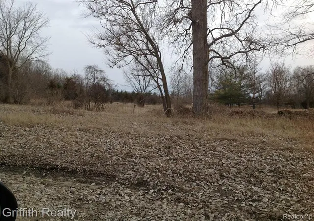 Photo 3 of Land for sale at Vl Mason Rd, Howell, MI 48843 | MLS# 40177284 | Listing updated on 2026-09-11