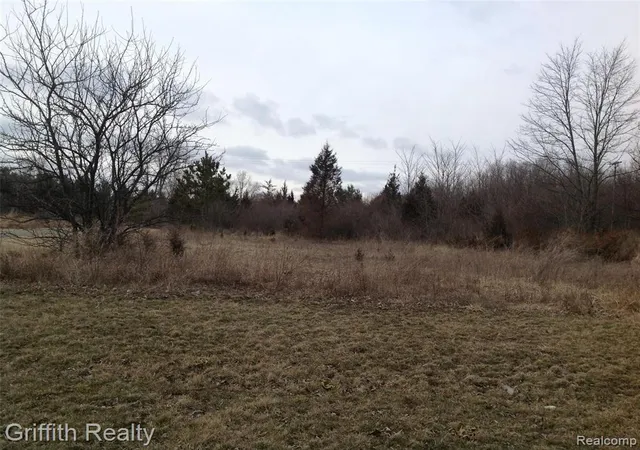 Photo 4 of Land for sale at Vl Mason Rd, Howell, MI 48843 | MLS# 40177284 | Listing updated on 2026-09-11
