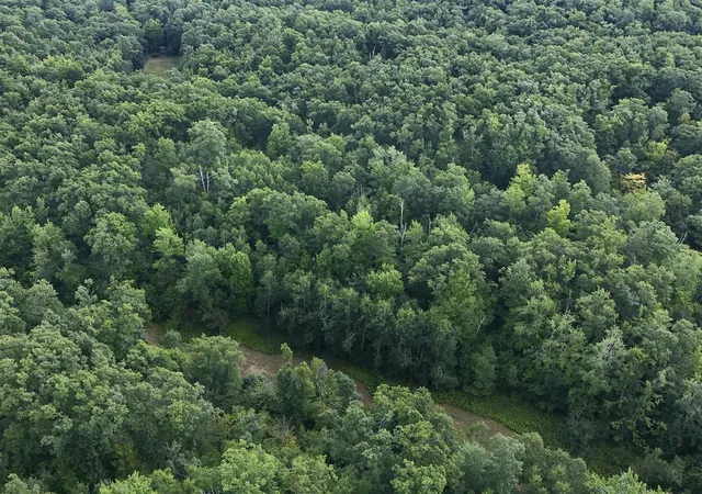 Photo 1 of Land for sale at Tower Rd, Curran, MI 48728 | MLS# 70524558 | Listing updated on 2026-09-09