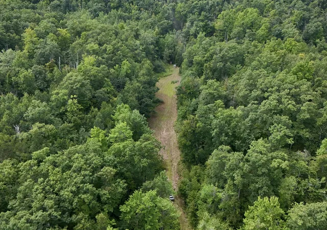 Photo 3 of Land for sale at Tower Rd, Curran, MI 48728 | MLS# 70524558 | Listing updated on 2026-09-09