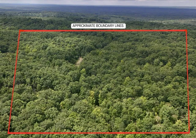 Photo 3 of Land for sale at Tower Rd, Curran, MI 48728 | MLS# 70524558 | Listing updated on 2026-09-09