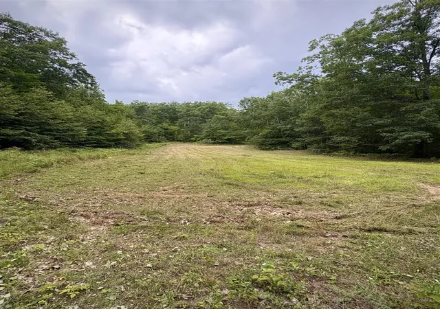 Photo 4 of Land for sale at Tower Rd, Curran, MI 48728 | MLS# 70524558 | Listing updated on 2026-09-09