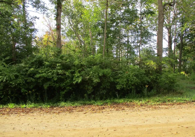 Photo 3 of Land for sale at Orchard Rd, South Haven, MI 49090 | MLS# 70557843 | Listing updated on 2026-09-10