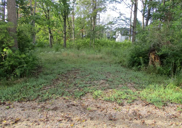 Photo 3 of Land for sale at Orchard Rd, South Haven, MI 49090 | MLS# 70557843 | Listing updated on 2026-09-10