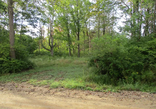 Photo 4 of Land for sale at Orchard Rd, South Haven, MI 49090 | MLS# 70557843 | Listing updated on 2026-09-10