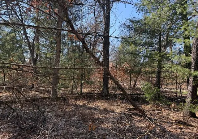 Photo 1 of Land for sale at Vl Erie St, Baldwin, MI 49304 | MLS# 70524163 | Listing updated on 2026-09-11