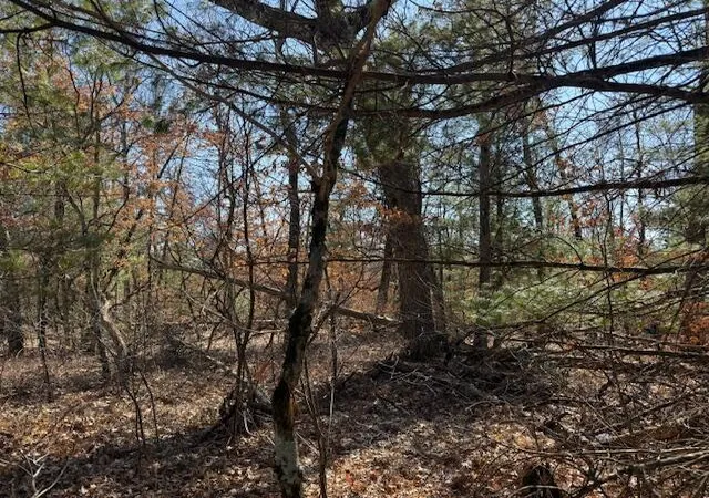 Photo 2 of Land for sale at Vl Erie St, Baldwin, MI 49304 | MLS# 70524163 | Listing updated on 2026-09-11