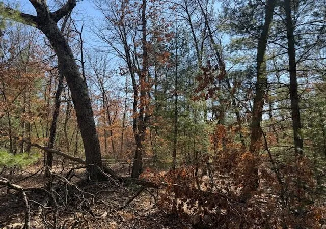 Photo 3 of Land for sale at Vl Erie St, Baldwin, MI 49304 | MLS# 70524163 | Listing updated on 2026-09-11