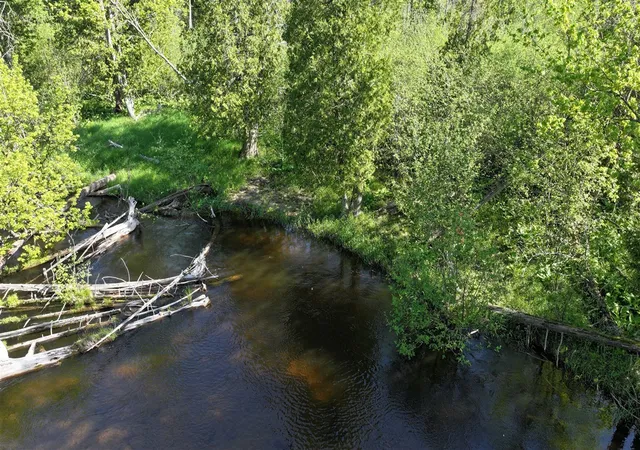 Photo 1 of Land for sale at V/l E Pomeroy Springs Rd, Irons, MI 49644 | MLS# 70533645 | Listing updated on 2026-09-21