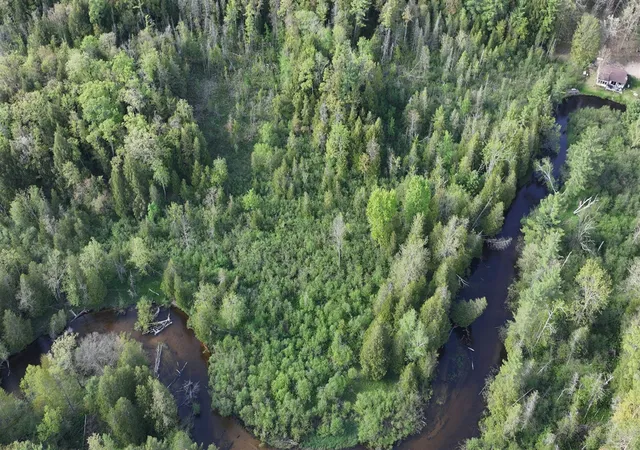 Photo 3 of Land for sale at V/l E Pomeroy Springs Rd, Irons, MI 49644 | MLS# 70533645 | Listing updated on 2026-09-21