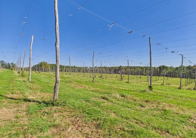 Photo 3 of Land for sale at 5790 N (parcel E) Omena Rise, Northport, MI 49670 | MLS# 80074008 | Listing updated on 2026-10-02
