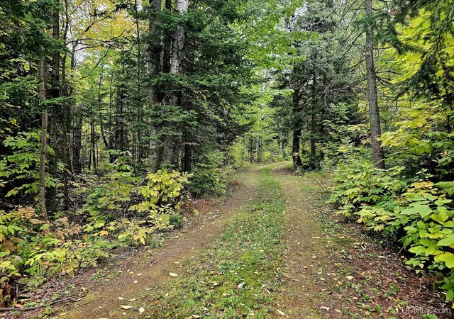 Photo 1 of Sale Pending at N12756 Vanderhagen Rd, Ironwood, MI 49938 | MLS# 50223072 | Listing updated on 2026-10-09