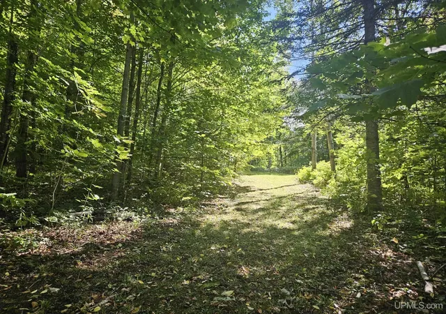 Photo 3 of Sale Pending at N12756 Vanderhagen Rd, Ironwood, MI 49938 | MLS# 50223072 | Listing updated on 2026-10-09