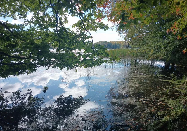 Photo 1 of Land for sale at W Nurnberg Rd, Free Soil, MI 49411 | MLS# 70562316 | Listing updated on 2026-10-12