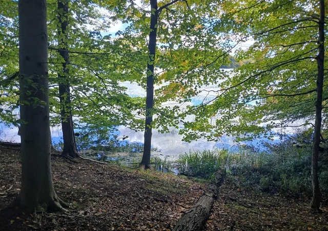 Photo 2 of Land for sale at W Nurnberg Rd, Free Soil, MI 49411 | MLS# 70562316 | Listing updated on 2026-10-12