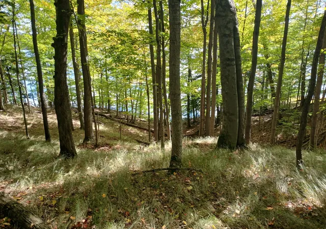 Photo 3 of Land for sale at W Nurnberg Rd, Free Soil, MI 49411 | MLS# 70562316 | Listing updated on 2026-10-12