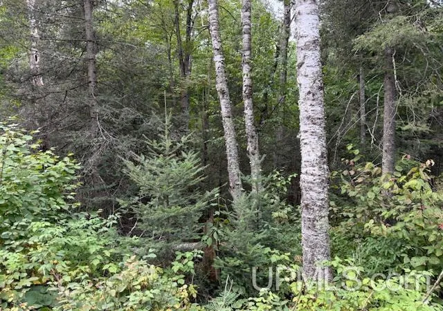 Photo 1 of Land for sale at 153 Ac Loon Lake Rd, Florence, WI 54121 | MLS# 50220763 | Listing updated on 2026-09-03