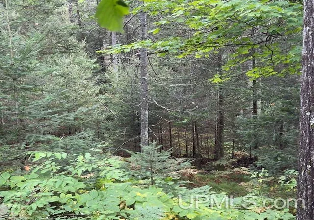 Photo 27 of Land for sale at 153 Ac Loon Lake Rd, Florence, WI 54121 | MLS# 50220763 | Listing updated on 2026-09-03