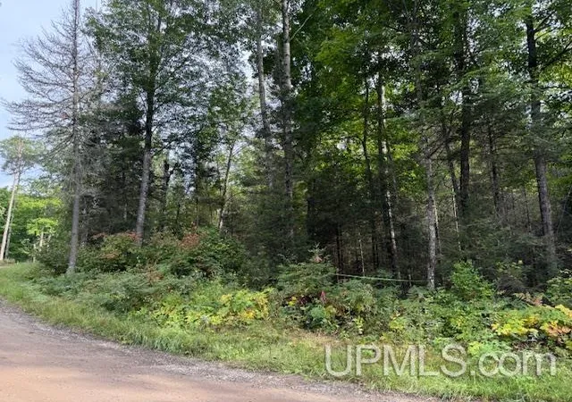 Photo 2 of Land for sale at 153 Ac Loon Lake Rd, Florence, WI 54121 | MLS# 50220763 | Listing updated on 2026-09-03