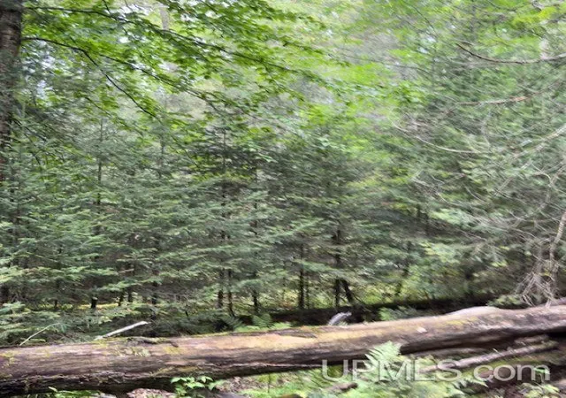 Photo 2 of Land for sale at 153 Ac Loon Lake Rd, Florence, WI 54121 | MLS# 50220763 | Listing updated on 2026-09-03