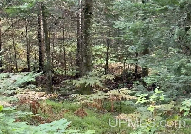 Photo 3 of Land for sale at 153 Ac Loon Lake Rd, Florence, WI 54121 | MLS# 50220763 | Listing updated on 2026-09-03