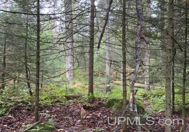 Photo 4 of Land for sale at 153 Ac Loon Lake Rd, Florence, WI 54121 | MLS# 50220763 | Listing updated on 2026-09-03