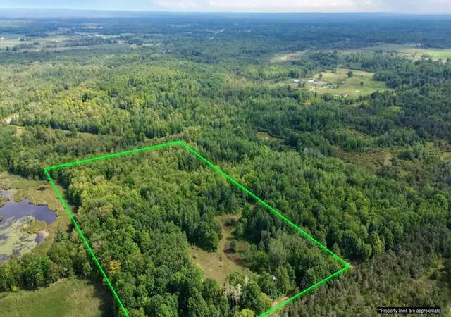 Photo 1 of Land for sale at 16396 S 50th Avenue, Marion, MI 49665 | MLS# 70557011 | Listing updated on 2026-09-09