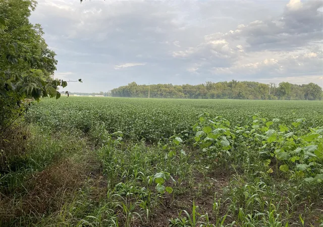 Photo 3 of Land for sale at W Copeland Rd, Bronson, MI 49028 | MLS# 70511878 | Listing updated on 2026-09-02