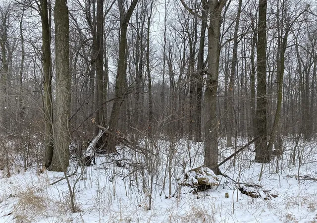 Photo 4 of Land for sale at W Copeland Rd, Bronson, MI 49028 | MLS# 70511878 | Listing updated on 2026-09-02
